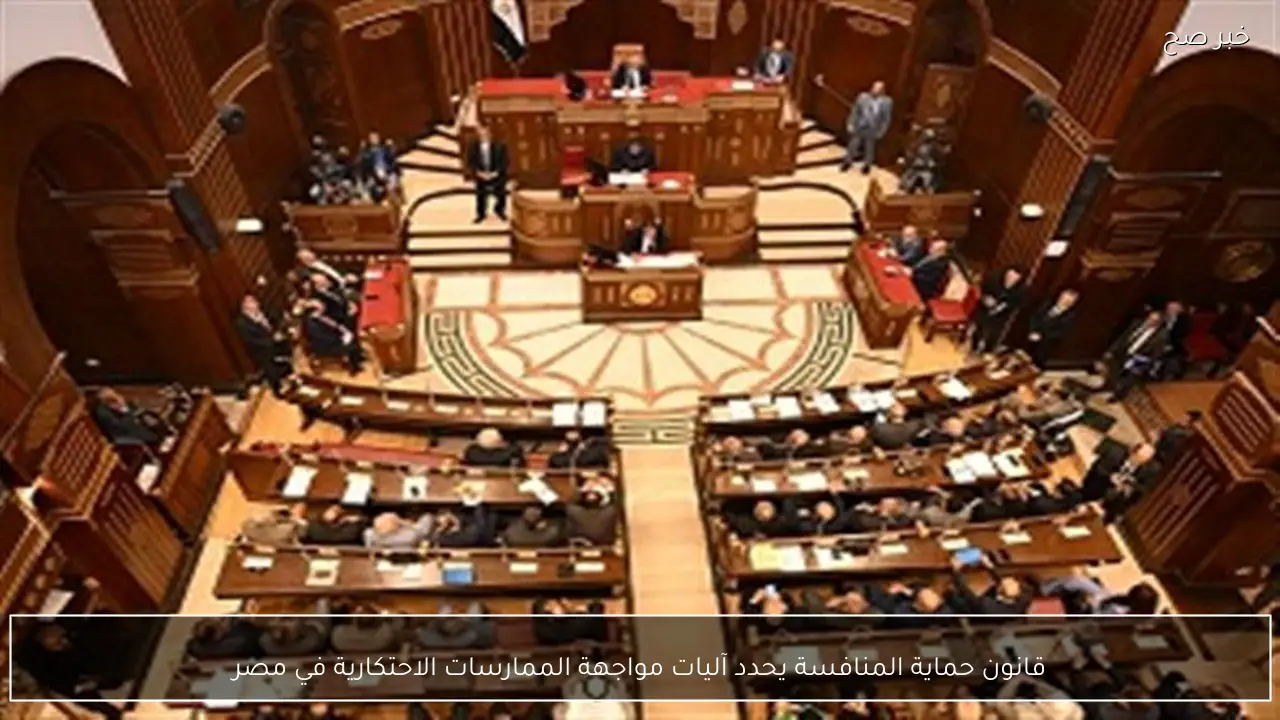 قانون حماية المنافسة يحدد آليات مواجهة الممارسات الاحتكارية في مصر