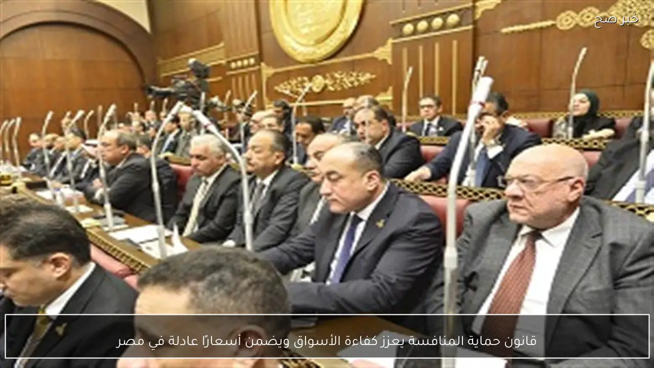 قانون حماية المنافسة يعزز كفاءة الأسواق ويضمن أسعارًا عادلة في مصر