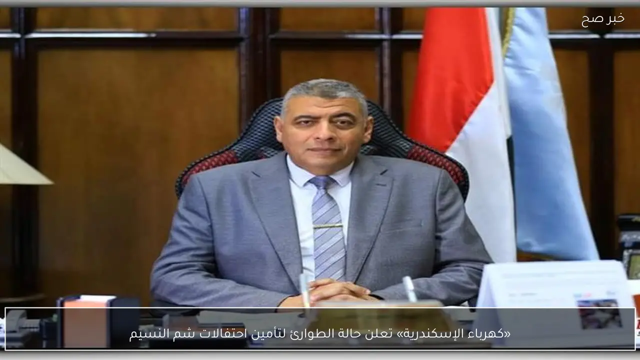 «كهرباء الإسكندرية» تعلن حالة الطوارئ لتأمين احتفالات شم النسيم