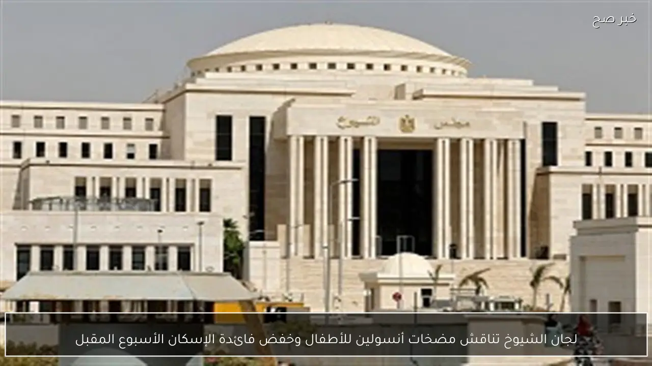 لجان الشيوخ تناقش مضخات أنسولين للأطفال وخفض فائدة الإسكان الأسبوع المقبل