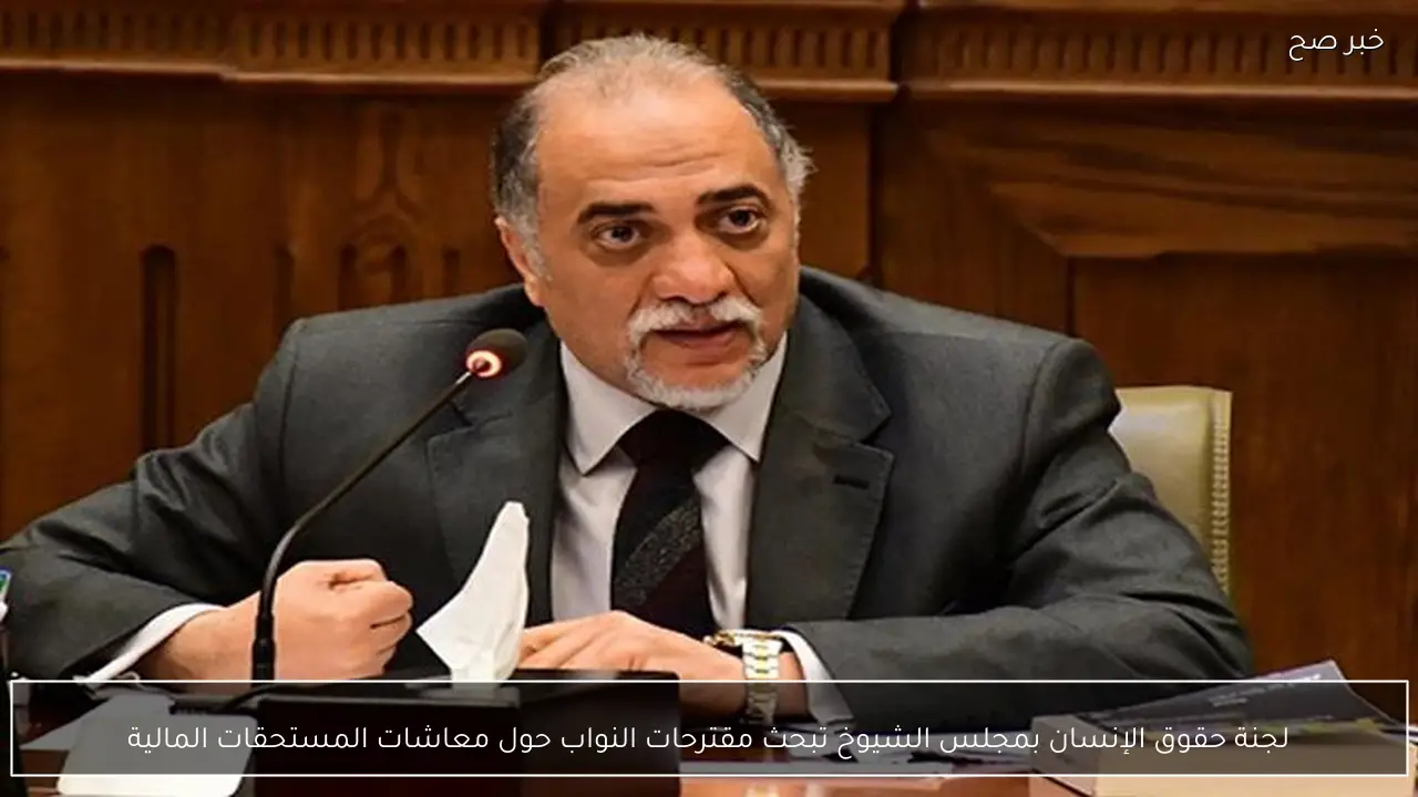 لجنة حقوق الإنسان بمجلس الشيوخ تبحث مقترحات النواب حول معاشات المستحقات المالية