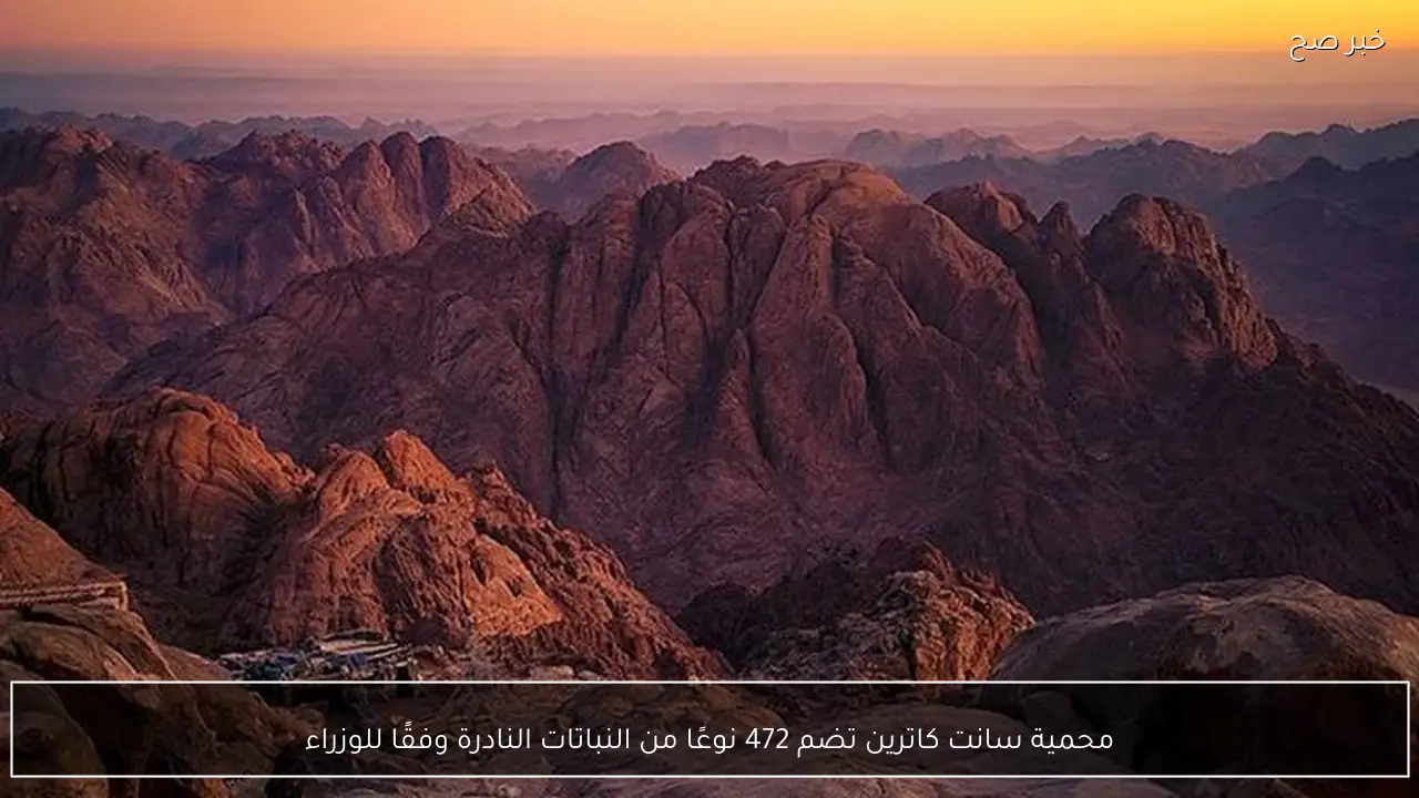 محمية سانت كاترين تضم 472 نوعًا من النباتات النادرة وفقًا للوزراء