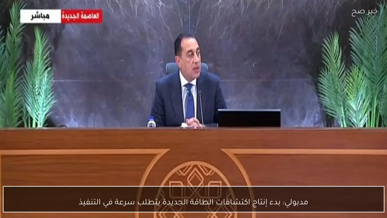 مدبولي: بدء إنتاج اكتشافات الطاقة الجديدة يتطلب سرعة في التنفيذ