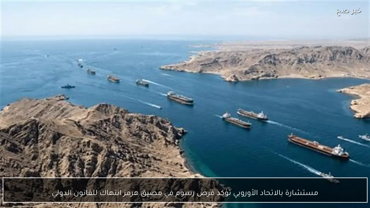 مستشارة بالاتحاد الأوروبي تؤكد فرض رسوم في مضيق هرمز انتهاك للقانون الدولي