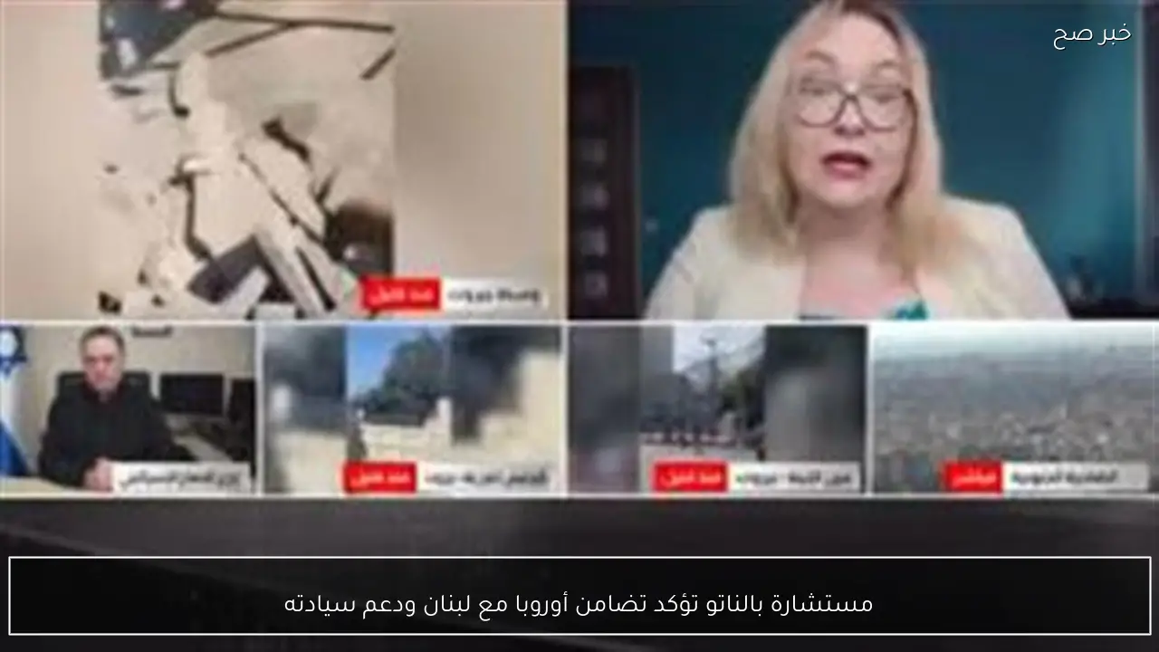 مستشارة بالناتو تؤكد تضامن أوروبا مع لبنان ودعم سيادته