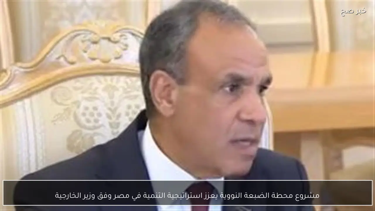 مشروع محطة الضبعة النووية يعزز استراتيجية التنمية في مصر وفق وزير الخارجية