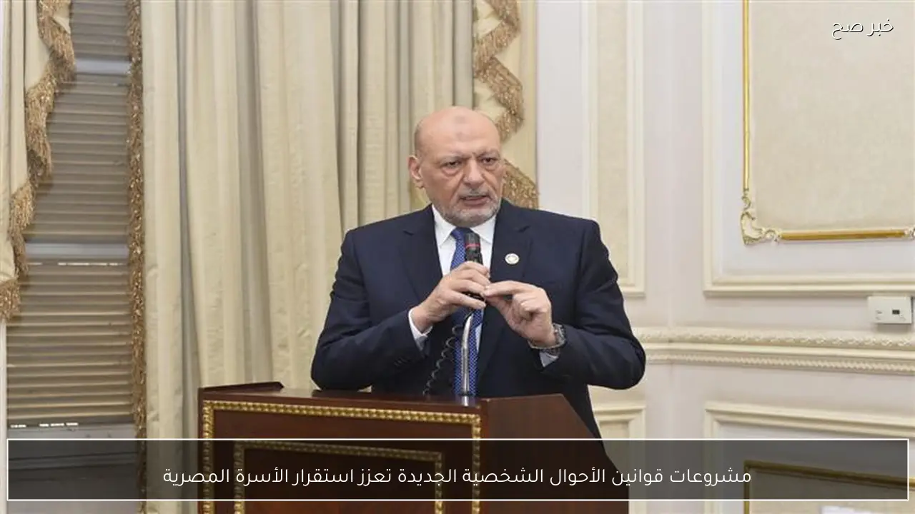 مشروعات قوانين الأحوال الشخصية الجديدة تعزز استقرار الأسرة المصرية