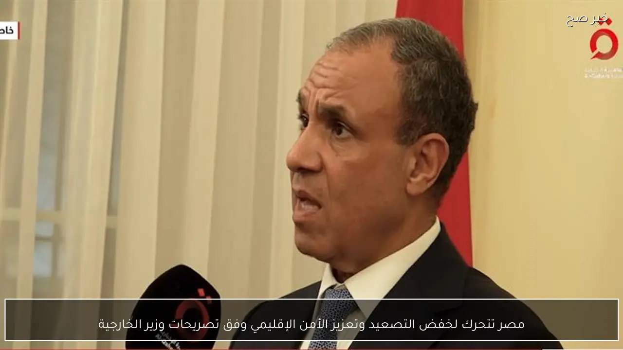 مصر تتحرك لخفض التصعيد وتعزيز الأمن الإقليمي وفق تصريحات وزير الخارجية
