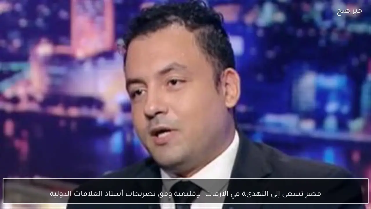 مصر تسعى إلى التهدئة في الأزمات الإقليمية وفق تصريحات أستاذ العلاقات الدولية