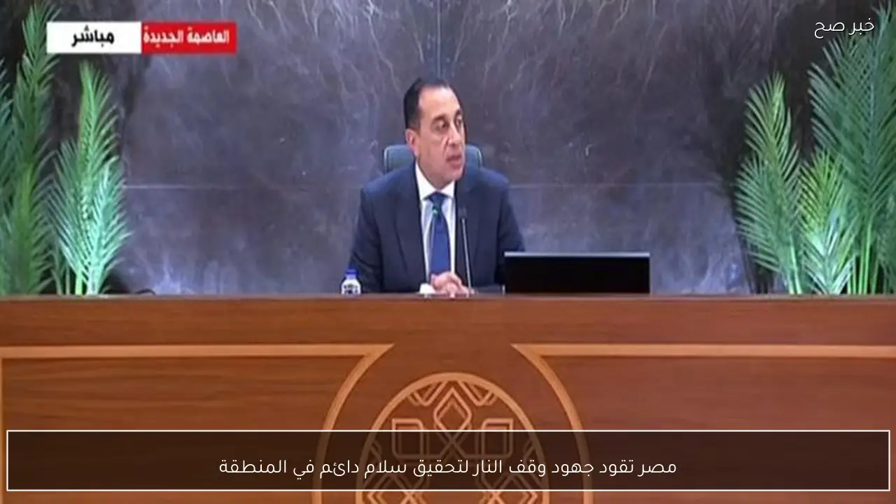 مصر تقود جهود وقف النار لتحقيق سلام دائم في المنطقة