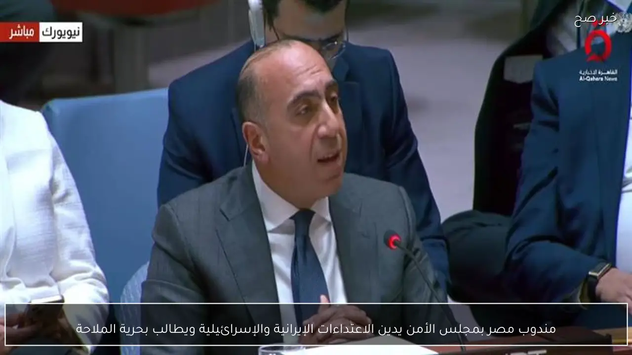 مندوب مصر بمجلس الأمن يدين الاعتداءات الإيرانية والإسرائيلية ويطالب بحرية الملاحة