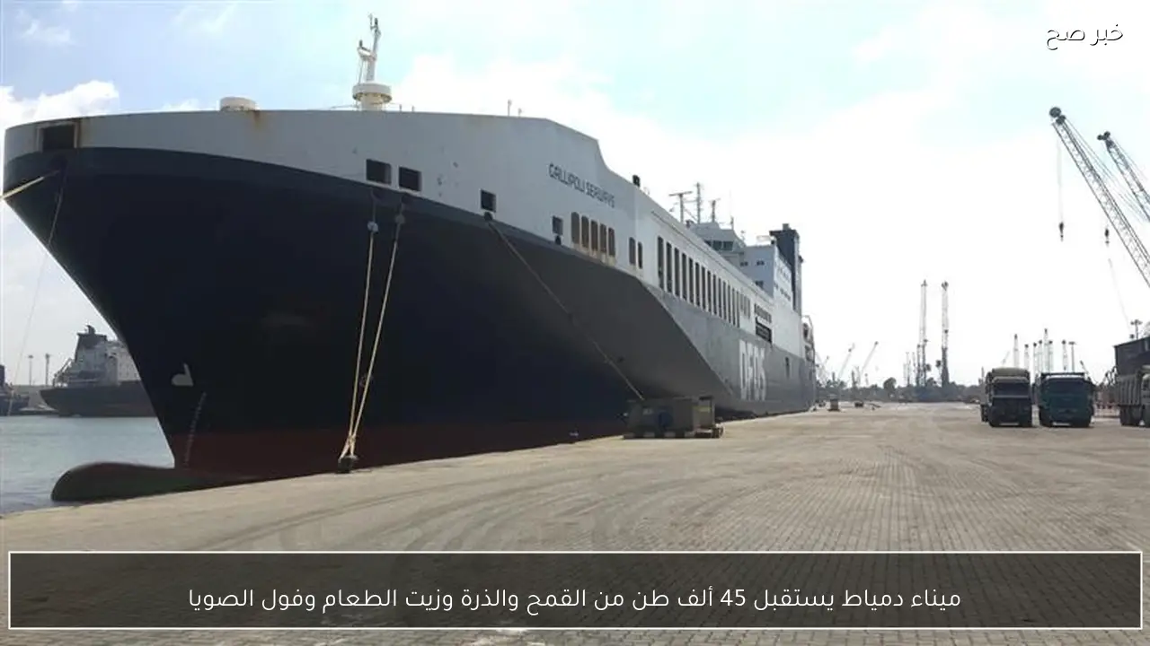 ميناء دمياط يستقبل 45 ألف طن من القمح والذرة وزيت الطعام وفول الصويا