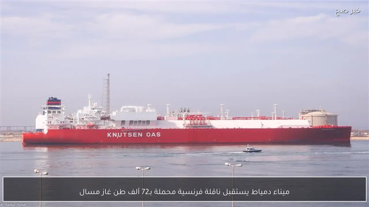 ميناء دمياط يستقبل ناقلة فرنسية محملة بـ72 ألف طن غاز مسال