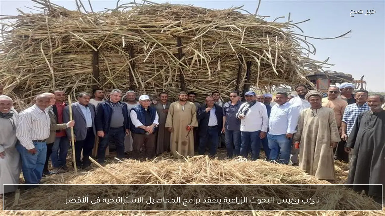 نائب رئيس البحوث الزراعية يتفقد برامج المحاصيل الاستراتيجية في الأقصر