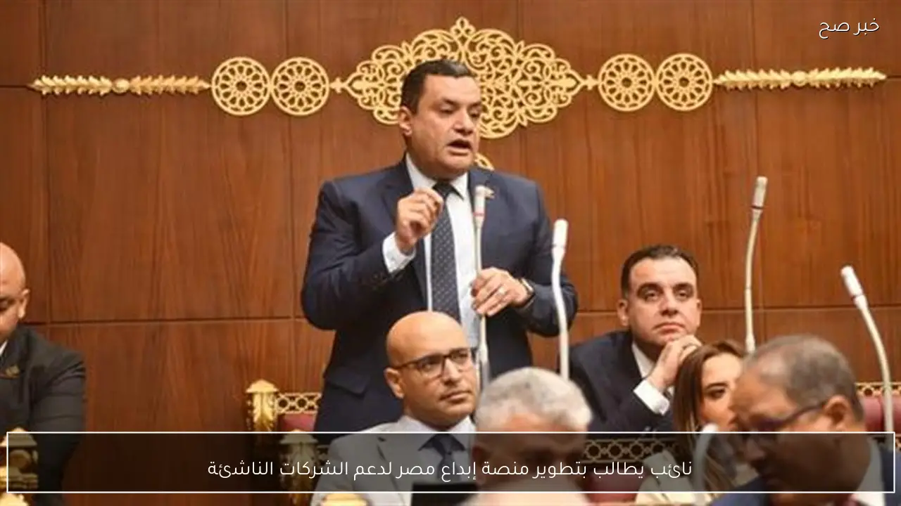 نائب يطالب بتطوير منصة إبداع مصر لدعم الشركات الناشئة