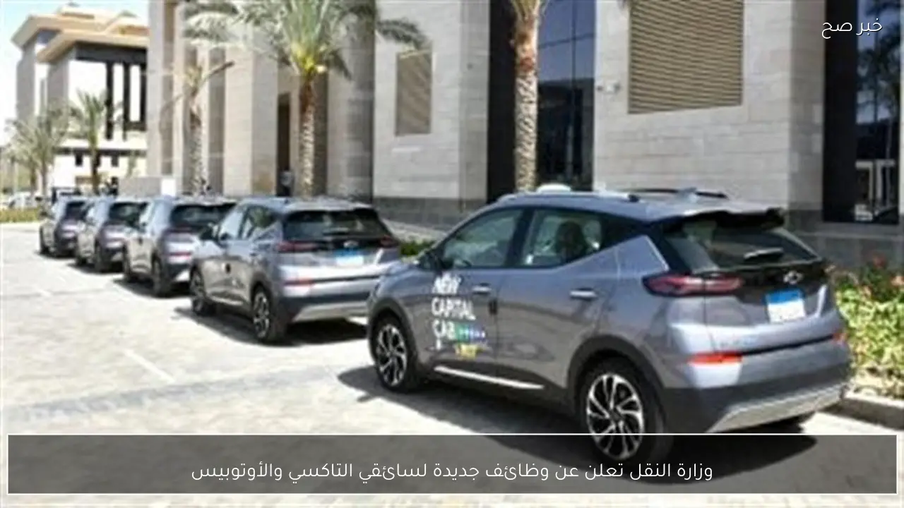 وزارة النقل تعلن عن وظائف جديدة لسائقي التاكسي والأوتوبيس