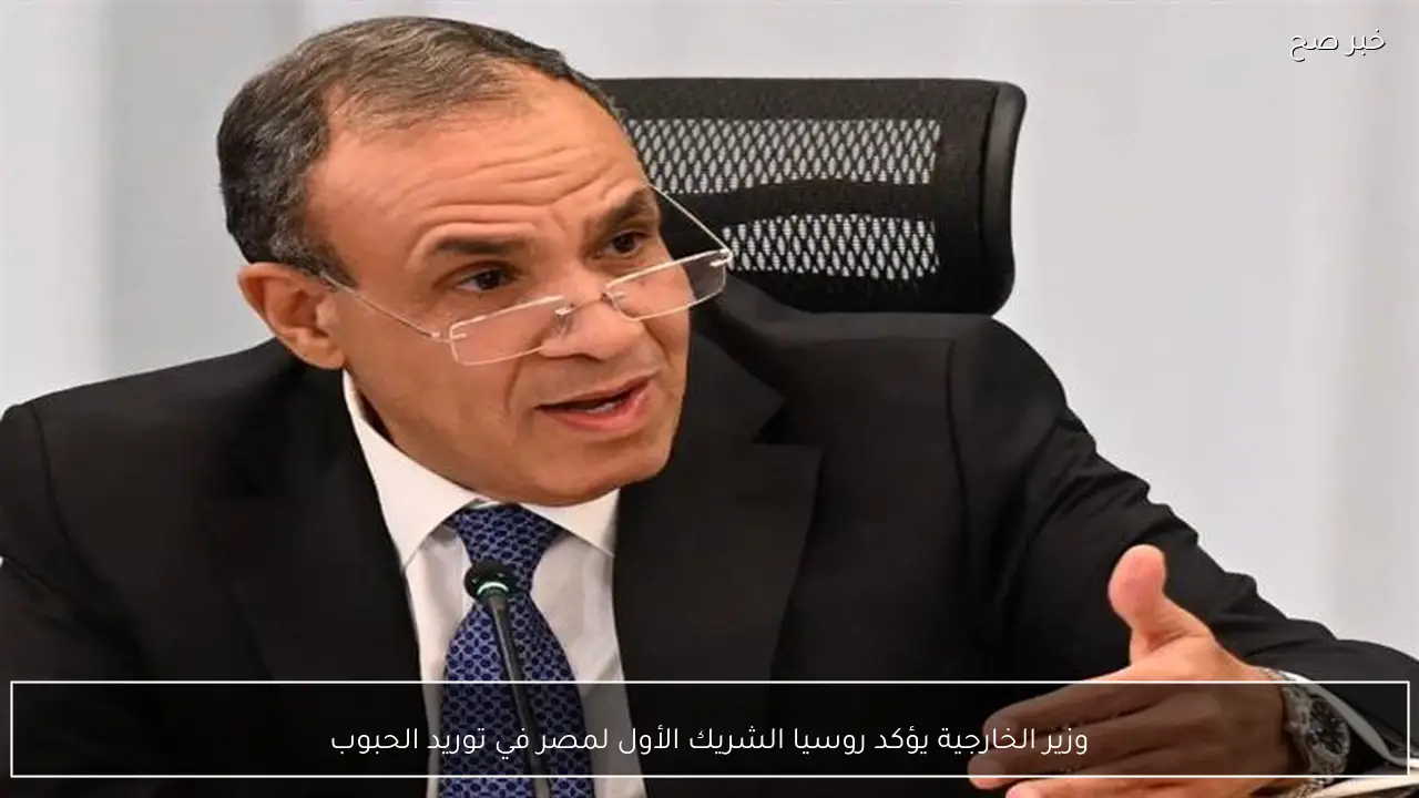 وزير الخارجية يؤكد روسيا الشريك الأول لمصر في توريد الحبوب