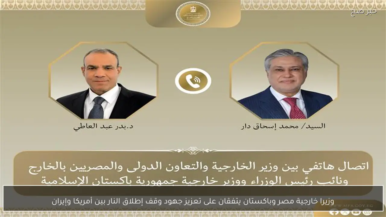 وزيرا خارجية مصر وباكستان يتفقان على تعزيز جهود وقف إطلاق النار بين أمريكا وإيران