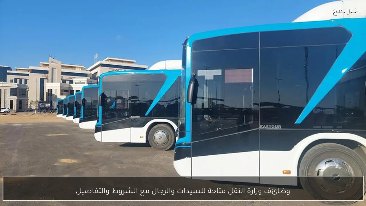 وظائف وزارة النقل متاحة للسيدات والرجال مع الشروط والتفاصيل